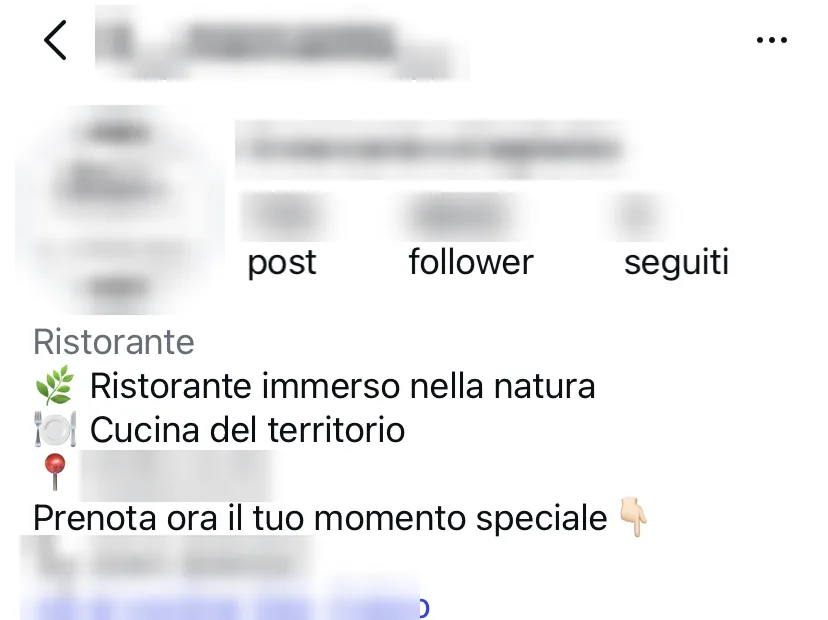 Bio Instagram del ristorante prima, solo numero di telefono